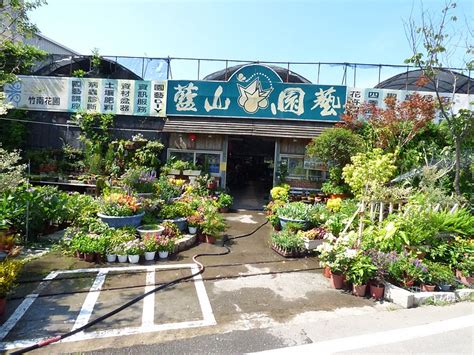 適合 北部種植的果樹|藍山園藝